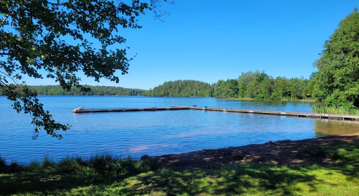 Gräs framför stranden och en brygga i vinkel