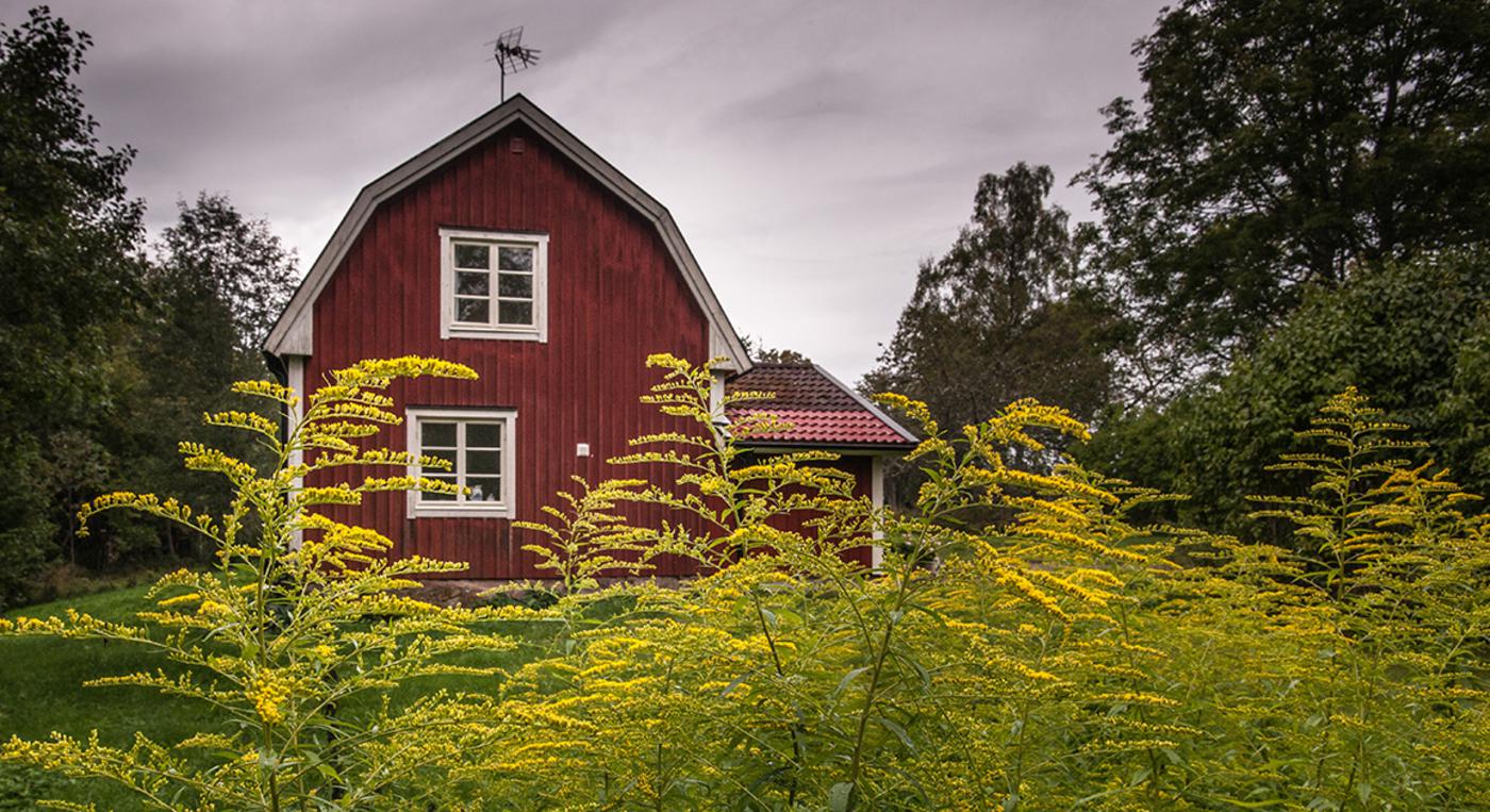 Ett torp i en lummig trädgård