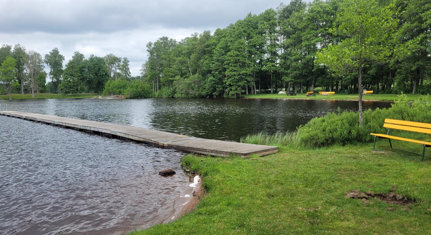 En badplats vid en skogssjö, med grässtrand och en brygga som går rakt ut i vattnet