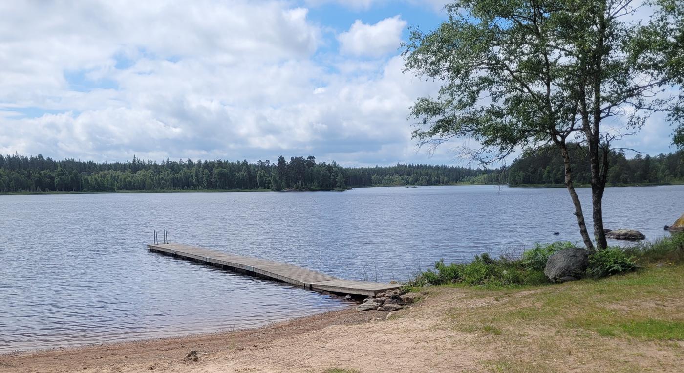 En liten brygga sticker ut över vattnet i en liten skogssjö