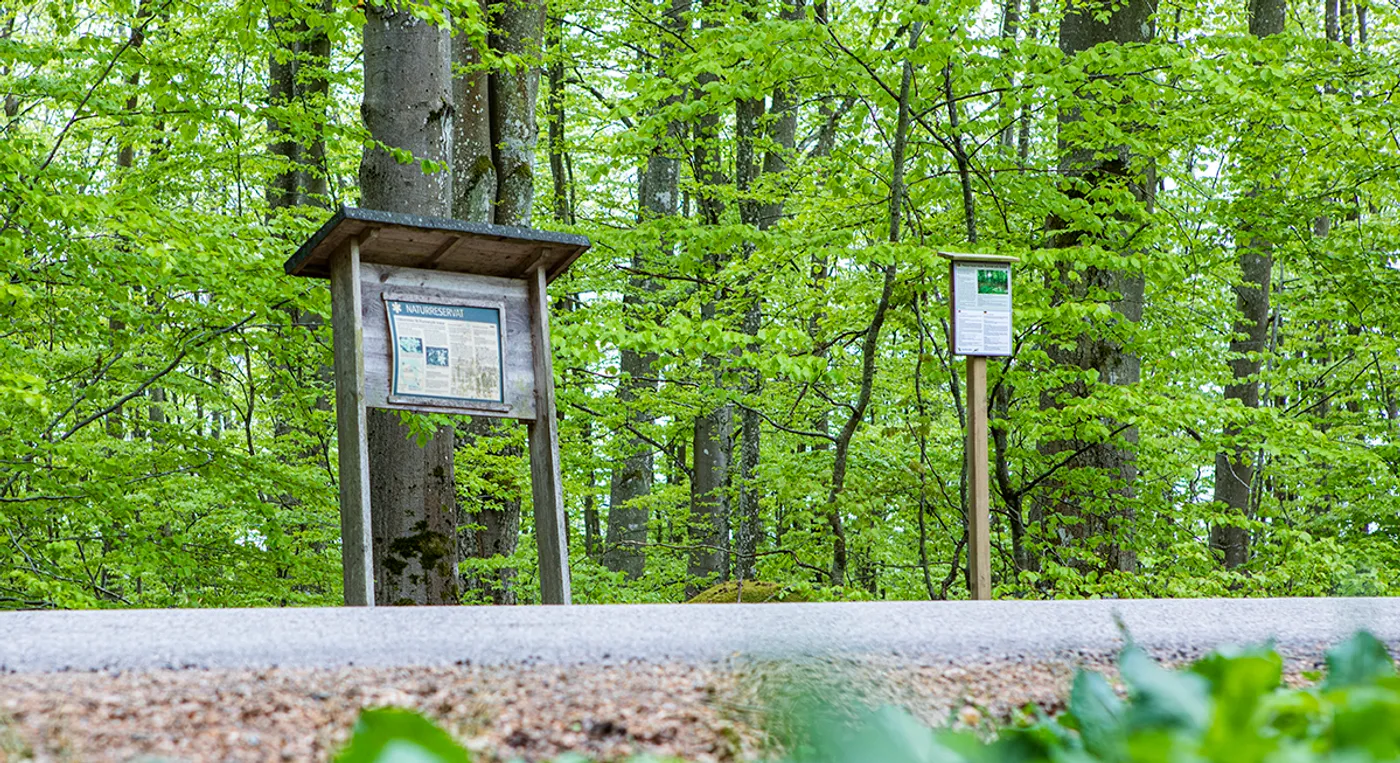 En skylt mitt i en skog med träd i bakgrunden.