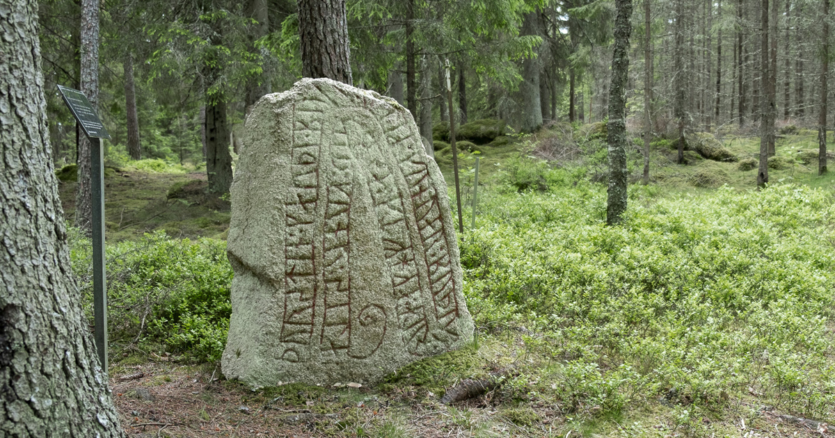 En runsten i en skog.