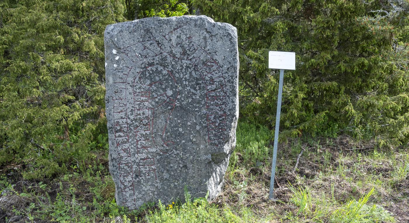 En stor runsten som ligger mitt i en skog.