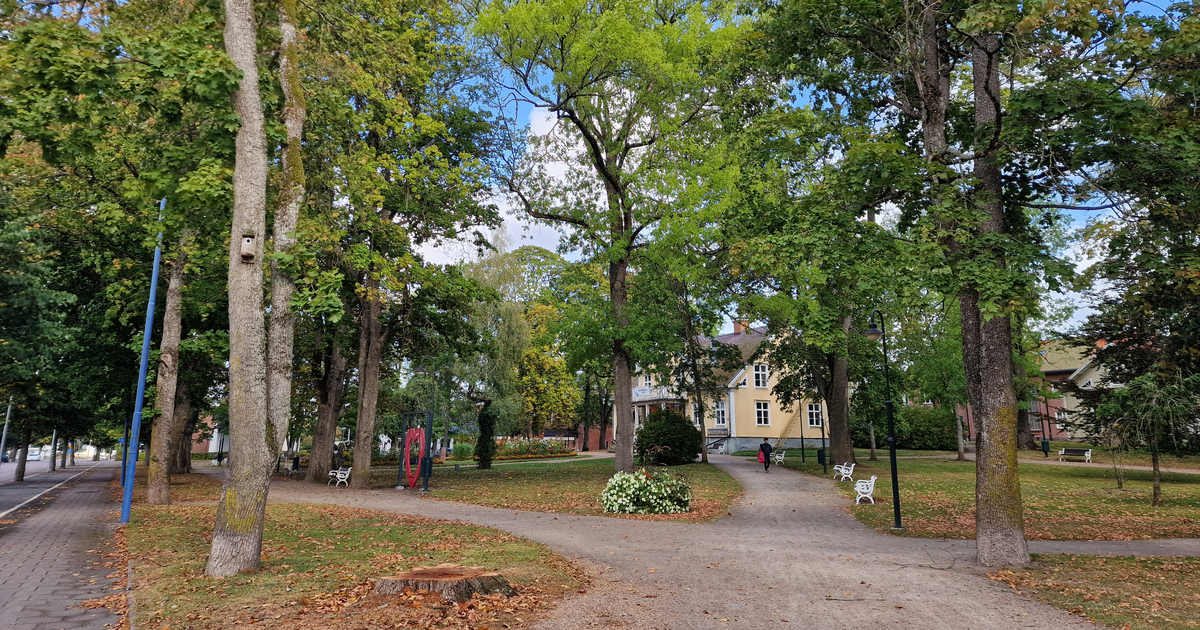 Grönskande träd i Apoteksparken.