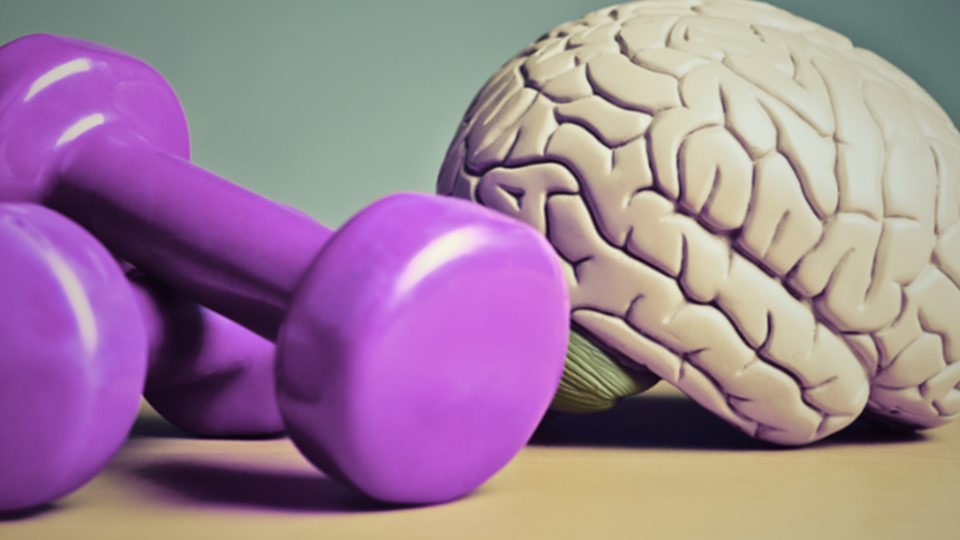 en lila vikt och hjärna