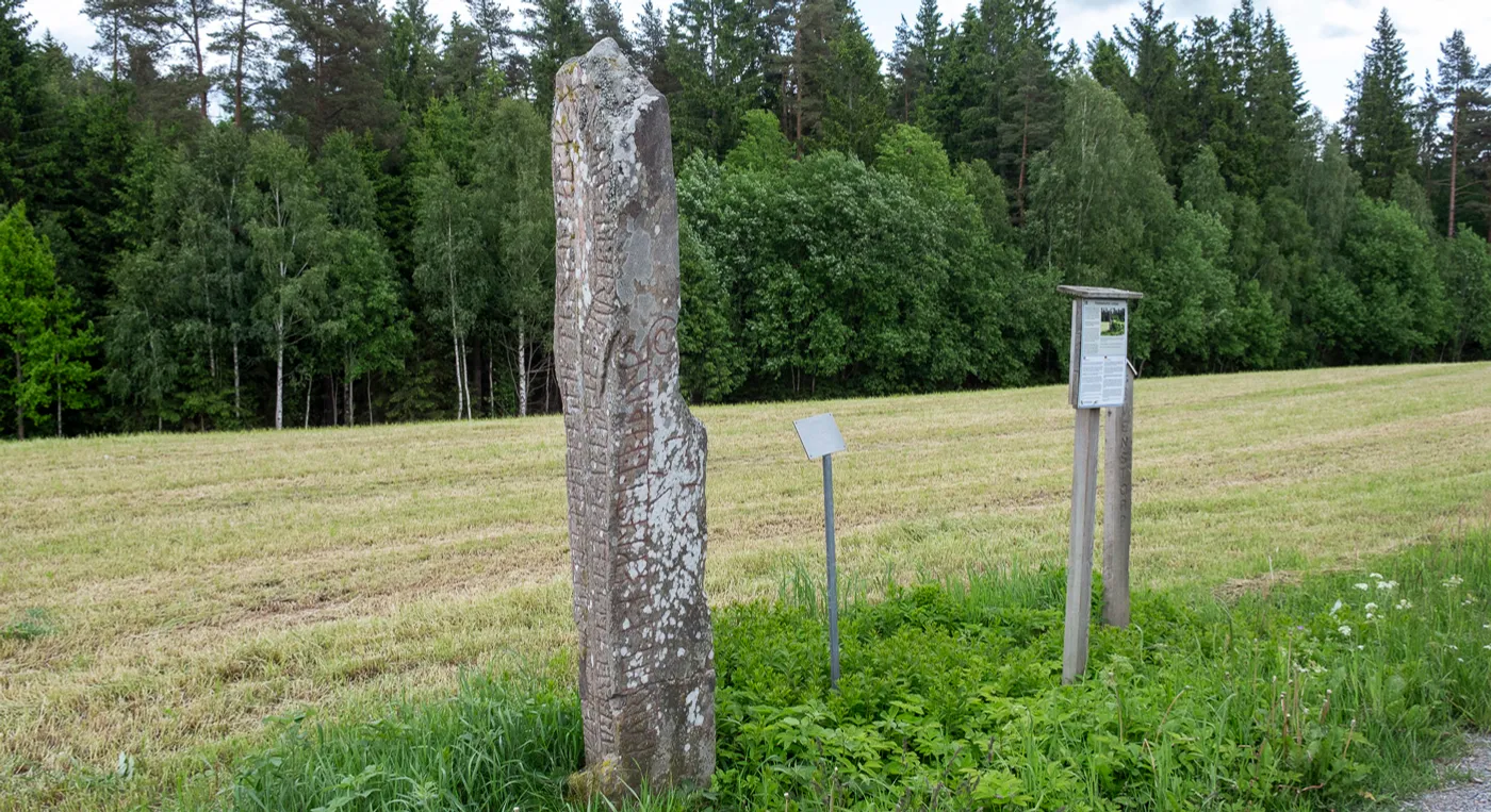 En stor runsten som står på ett fält intill en skog.