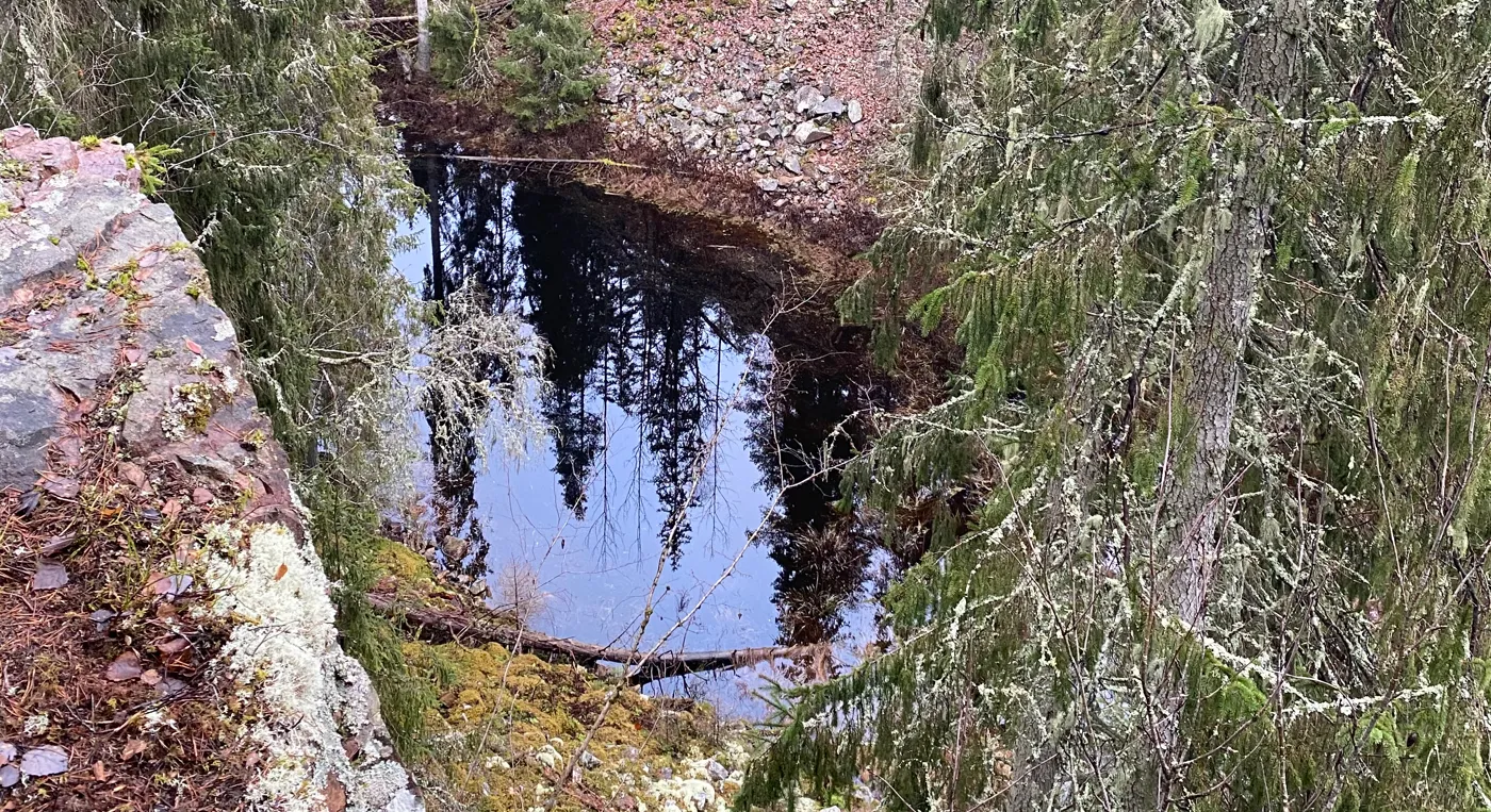 En hål mitt i skogen.