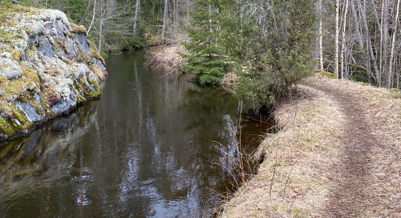 En kanal som rinner genom en skog full av träd.