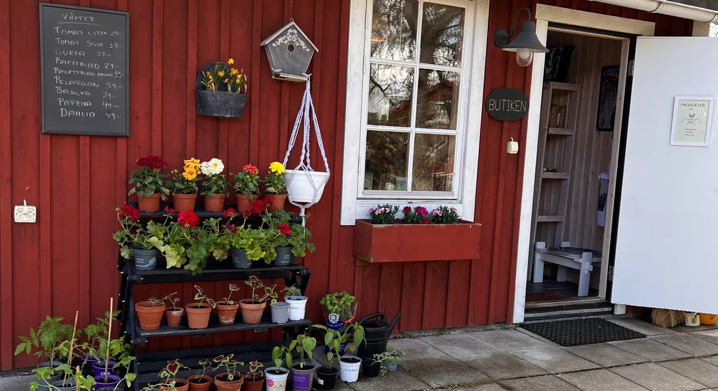 Ett litet rött hus med krukväxter utanför.