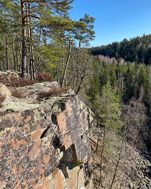 En berghäll på en höjd