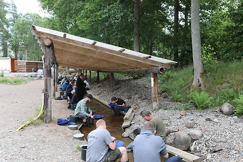 Guldvaskning, människor på rad.