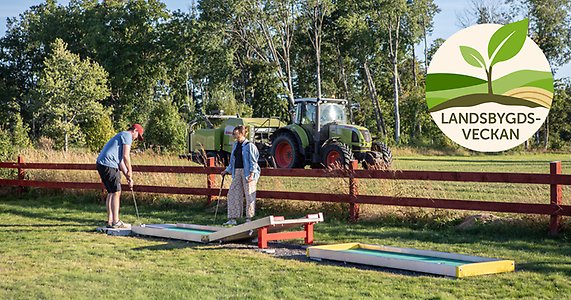 En man och en kvinna spelar minigolf. I bakgrunden kör en traktor på en åker.